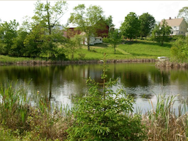 music-in-the-barn-spring-benefit